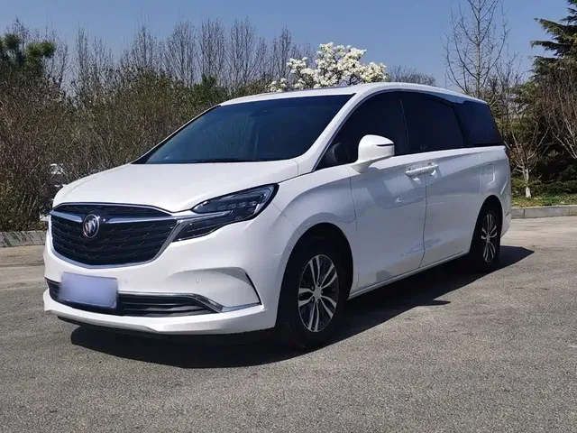 Buick GL8 2020 Model ES Landglory 653T Premium