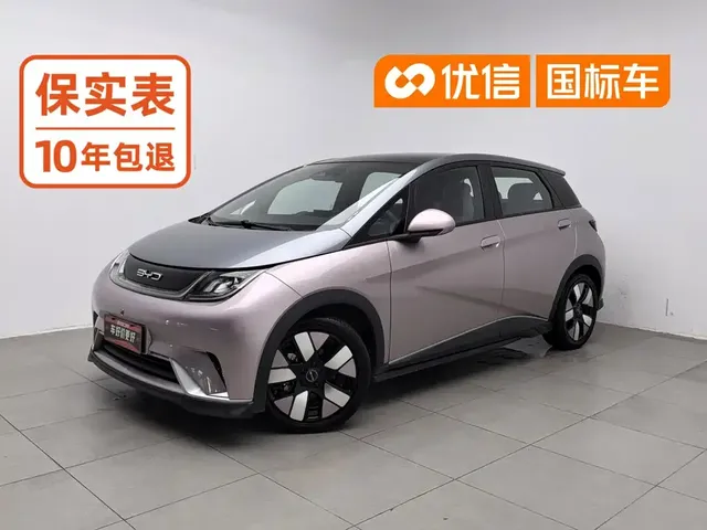 BYD Dolphin 2021 401km Knight Edition