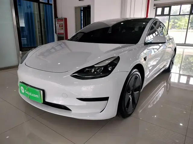 Tesla Model 3 2021 Standard Range Rear-Wheel Drive Upgrade