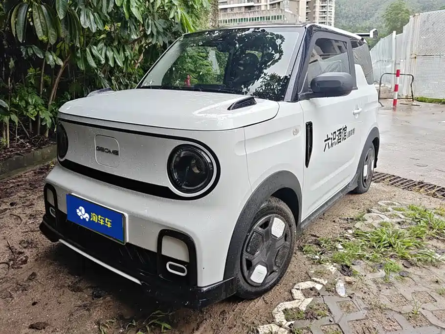 Geely Galaxy Panda 2025 Model Year 210km Panda Kart