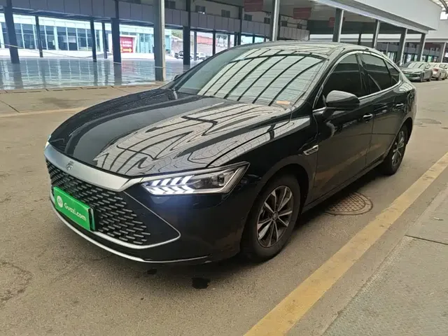 BYD Qin PLUS 2024 Glory Edition DM-i 55KM Leading