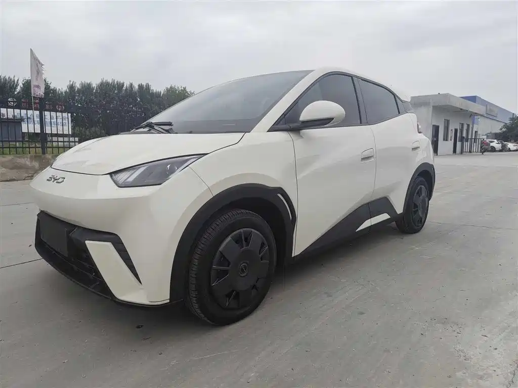 BYD Seagull 2024 Glory Edition 305km Vitality Edition