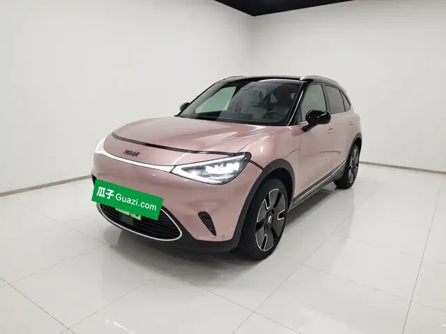 smart Elf #1 2024 Premium Edition