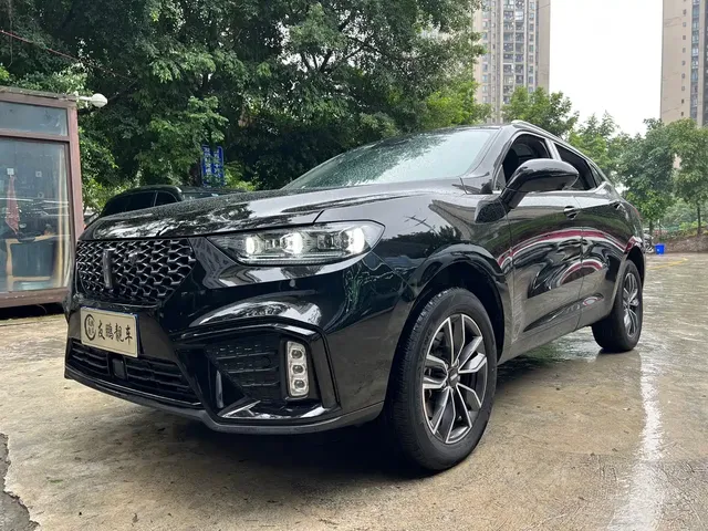WEY VV5 2020 1.5T 2WD Smart Pioneer