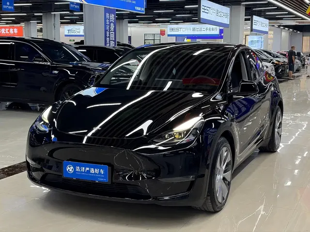 Tesla Model Y 2021 Standard Range Rear-Wheel Drive