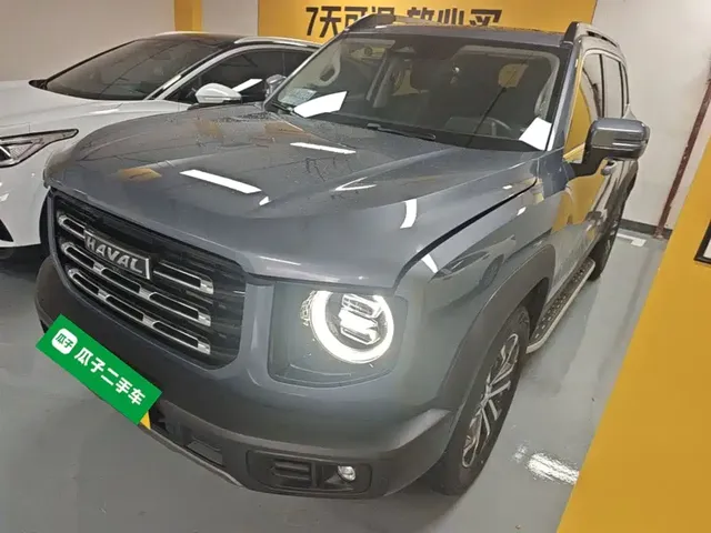 Haval Big Dog 2021 1.5T DCT 2WD Border Collie Edition