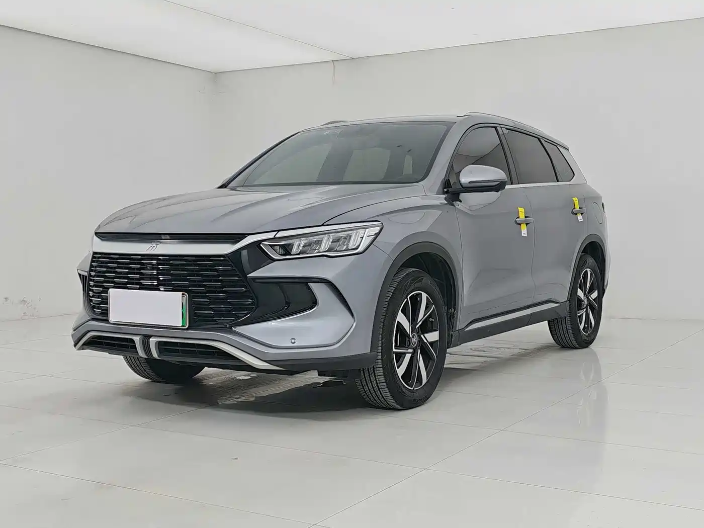 BYD Song Pro New Energy 2024 Glory Edition DM-i 71KM Pilot