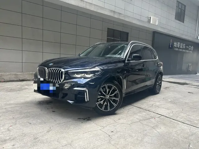 BMW X5 2022 xDrive 30Li M Sport Package