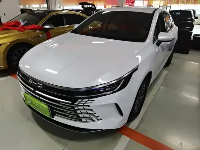BYD Destroyer 05 2024 Glory Edition DM-i 55KM Luxury