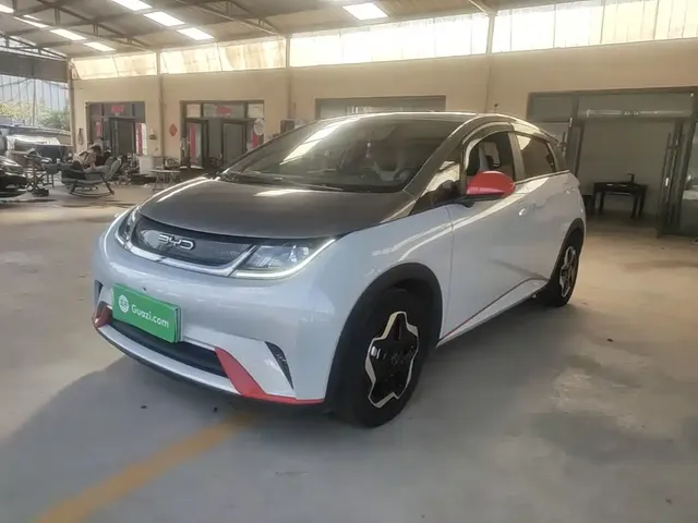 BYD Dolphin 2021 405km Freedom Edition
