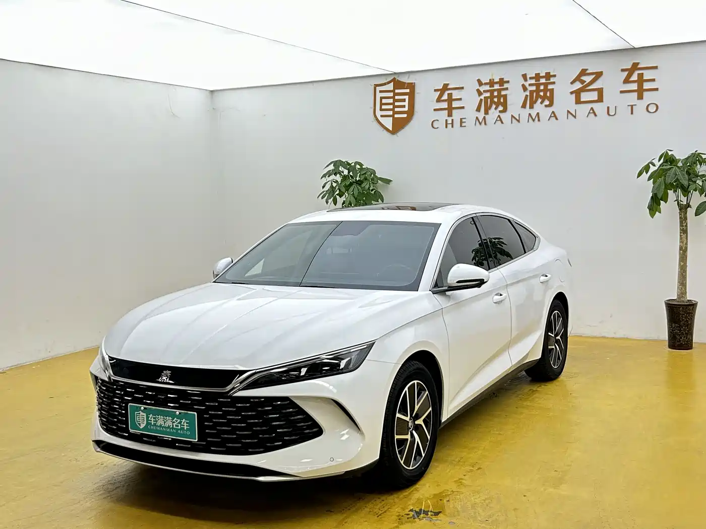 BYD Qin L 2024 DM-i 120KM Leading