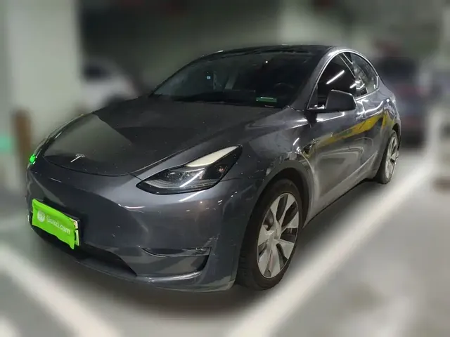 Tesla Model Y 2021 Long Range All-Wheel Drive 3D7