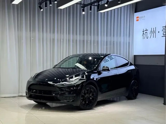 Tesla Model Y 2021 Standard Range Rear-Wheel Drive