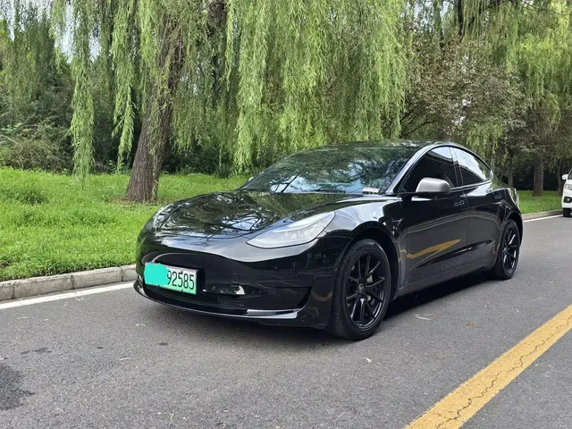 Tesla Model 3 2022 Model Rear-Wheel Drive Version