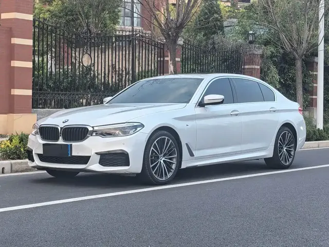 BMW 5 Series 2020 530Li Premium Luxury Package