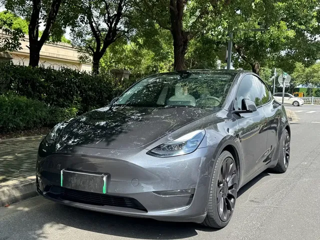 Tesla Model Y 2022 Performance High-Performance All-Wheel Drive Version
