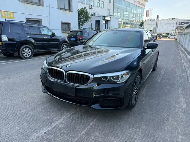 BMW 5 Series 2019 530Li xDrive M Sport Package