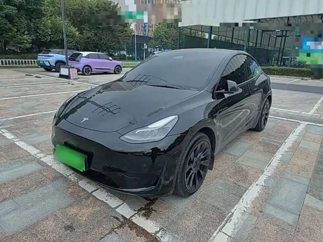 Tesla Model Y 2022 Rear-Wheel Drive Version