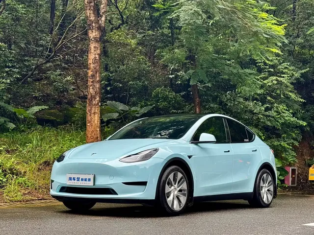 Tesla Model Y 2022 Rear-Wheel Drive Version