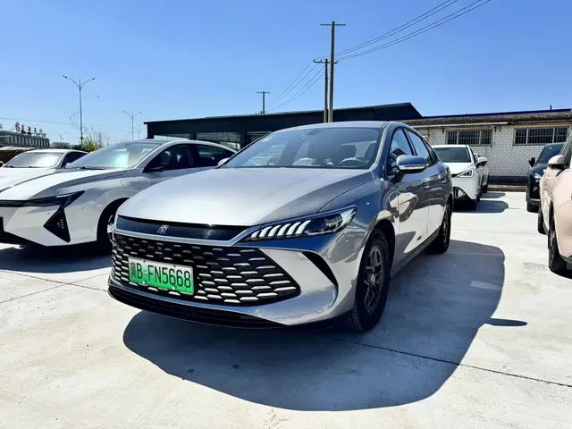 BYD Qin PLUS 2025 DM-i Smart Drive 55KM Leader