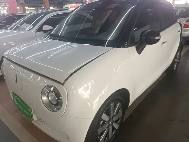 Ora Black Cat 2022 301km Cute Pet Edition (LFP)