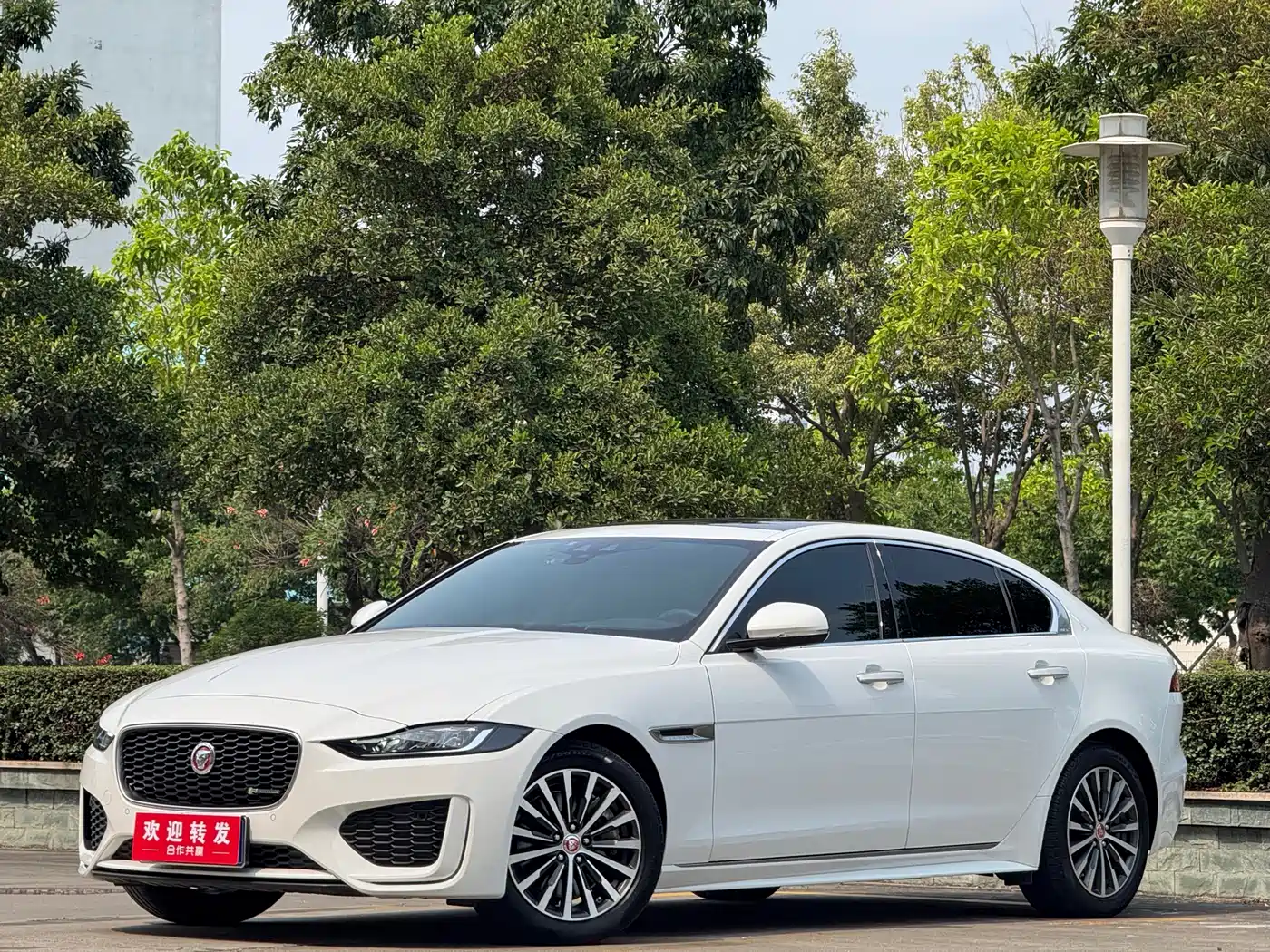 Jaguar XEL 2021 2.0T 200PS R-DYNAMIC Youth Sport Edition