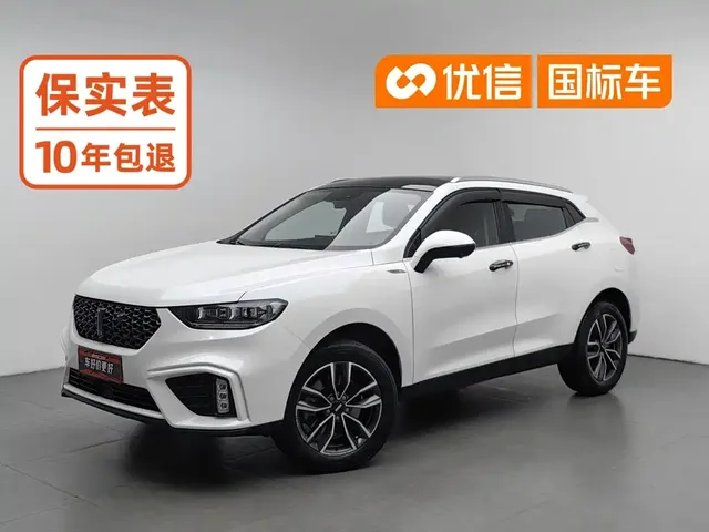 WEY VV5 2020 1.5T 2WD Smart Pioneer