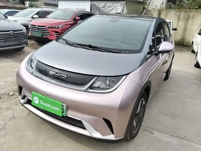 BYD Dolphin 2021 Model 405km Fashion Edition