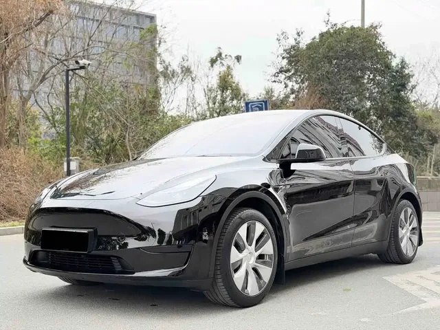 Tesla Model Y 2022 Rear-Wheel Drive Version