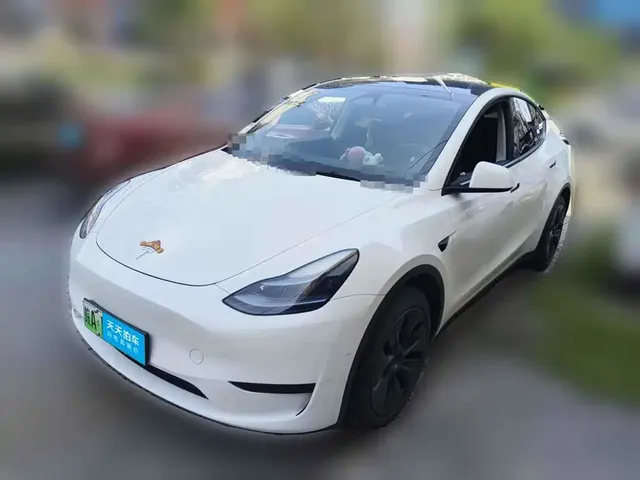 Tesla Model Y 2024 Rear-Wheel Drive Version