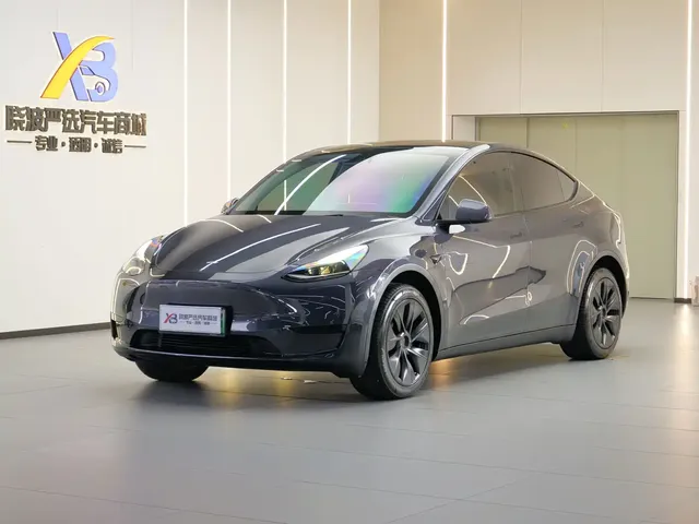 Tesla Model Y 2024 Rear-Wheel Drive Version