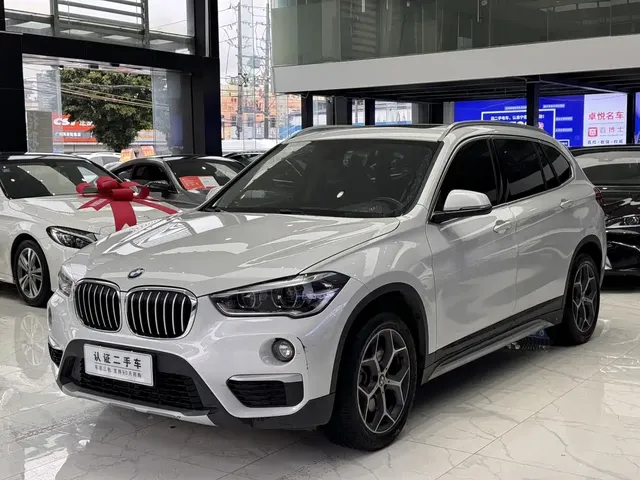BMW X1 2019 xDrive20Li Premium Model