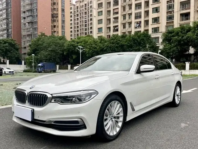BMW 5 Series 2020 530Li Leading Luxury Package
