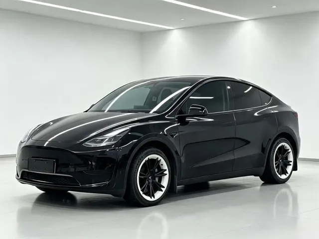 Tesla Model Y 2023 Rear-Wheel Drive Edition