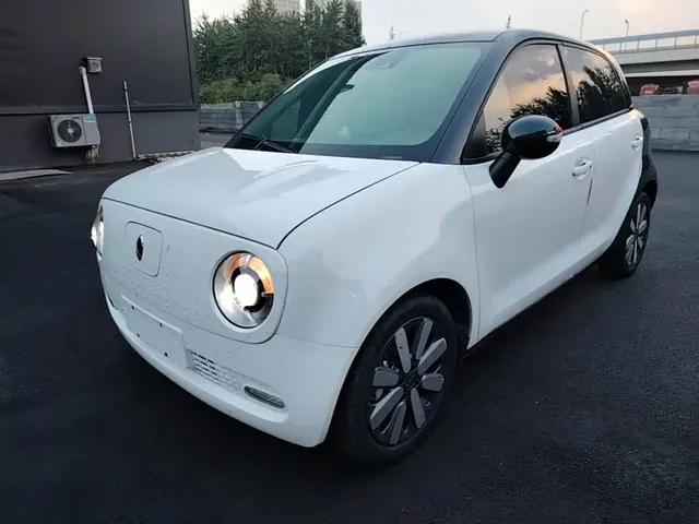 Ora Black Cat 2021 351km Luxury Model
