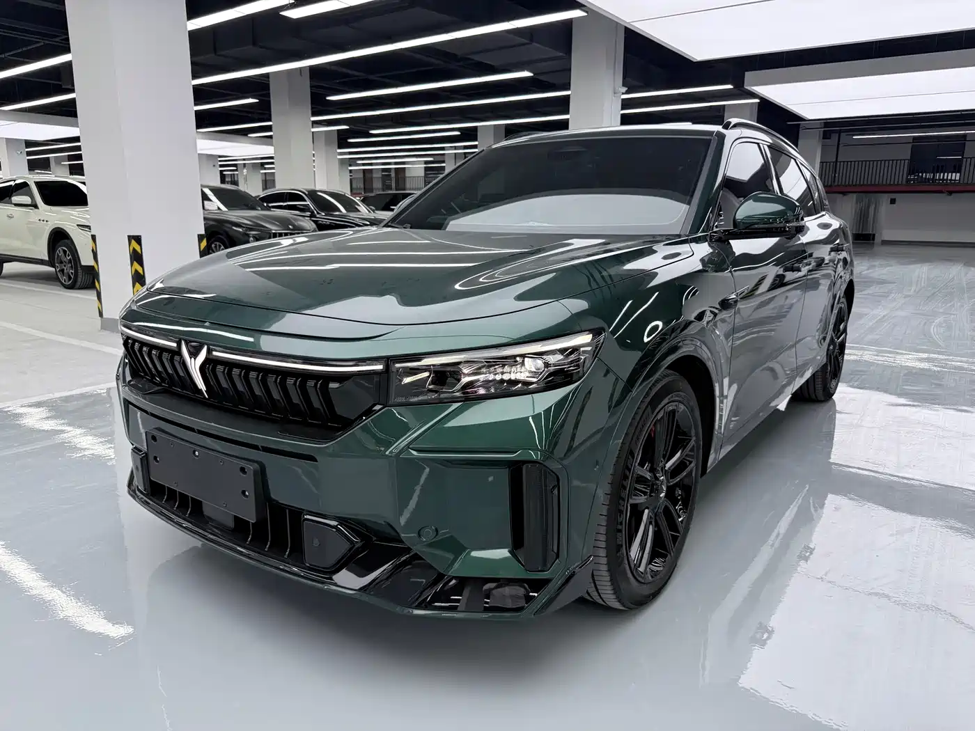 Voyah Auto VOYAH FREE 2025 318 318km RWD Touring Edition