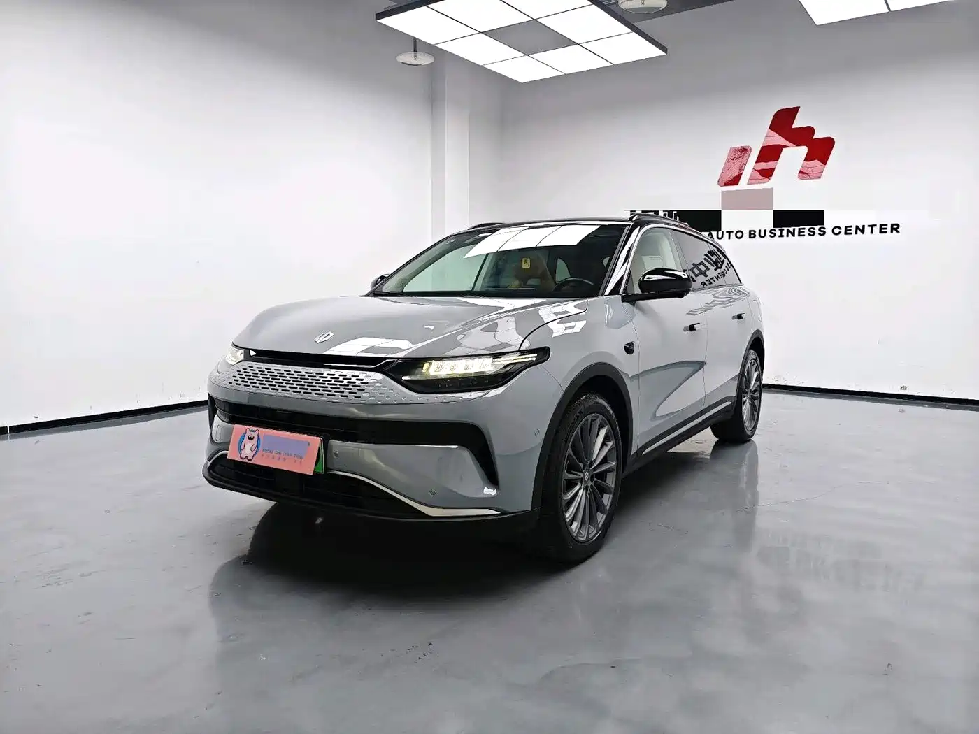 Leapmotor C11 2024 Extended Range 300 Premium Edition