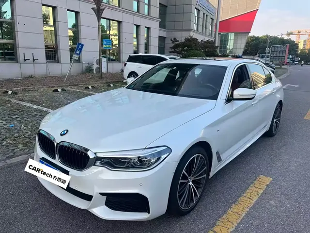 BMW 5 Series 2020 530Li Exclusive M Sport Package