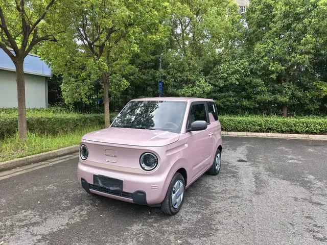 Geely Galaxy Panda 2024 Panda mini 200km Endurance Bear
