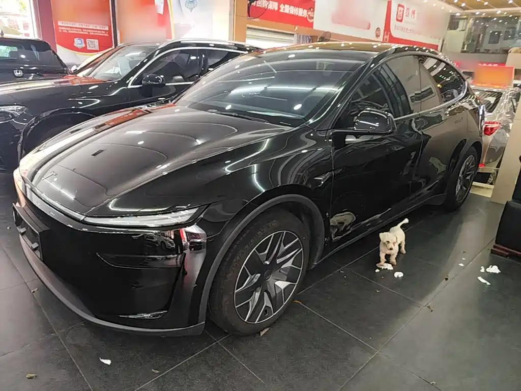 Tesla Model Y L 2025 Facelift Long Range AWD