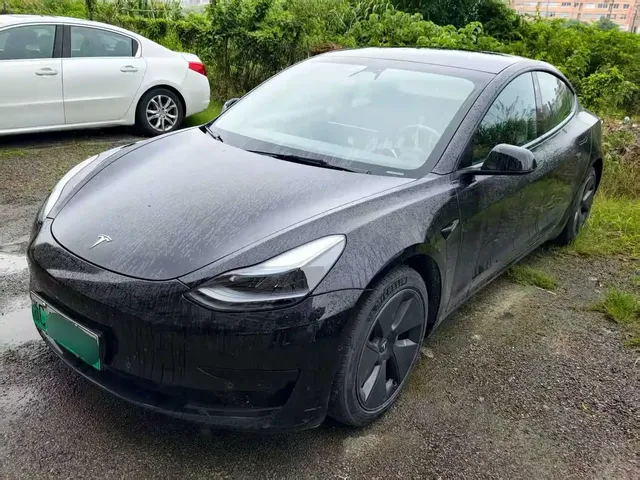Tesla Model 3 2022 Model Rear-Wheel Drive Version