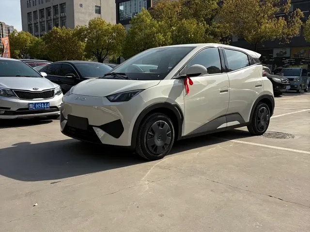 BYD Seagull 2025 305km Vitality