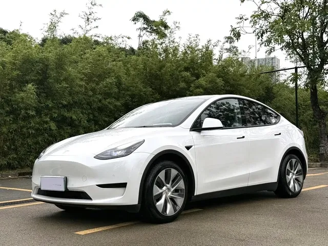 Tesla Model Y 2022 Rear-Wheel Drive Version