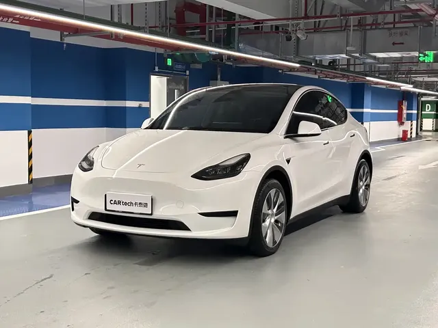 Tesla Model Y 2022 Rear-Wheel Drive Version