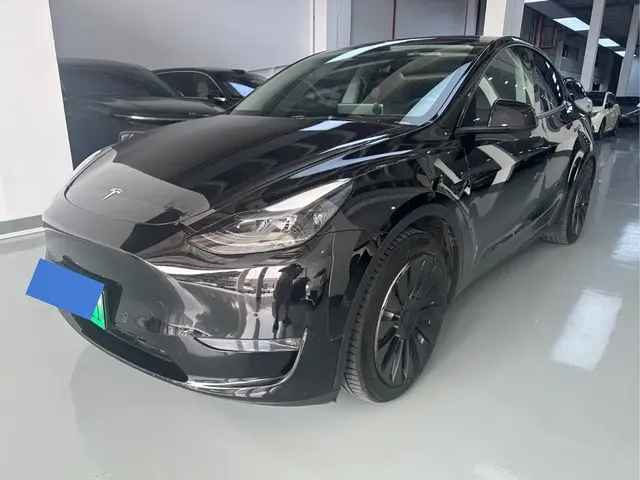 Tesla Model Y 2022 Rear-Wheel Drive Version