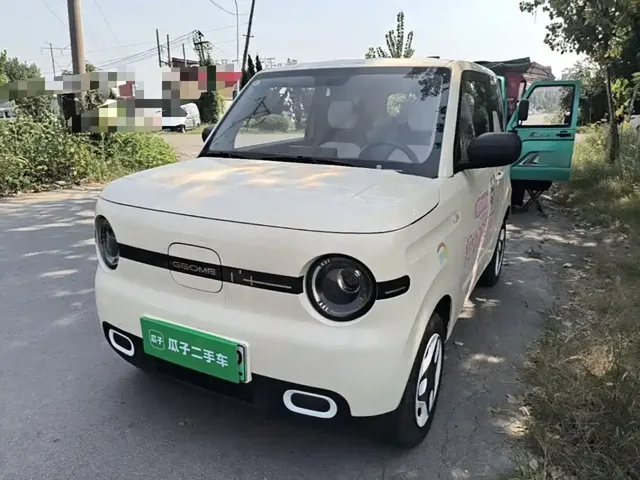 Geely Galaxy Panda 2025 Panda mini 210km Vitality Bear