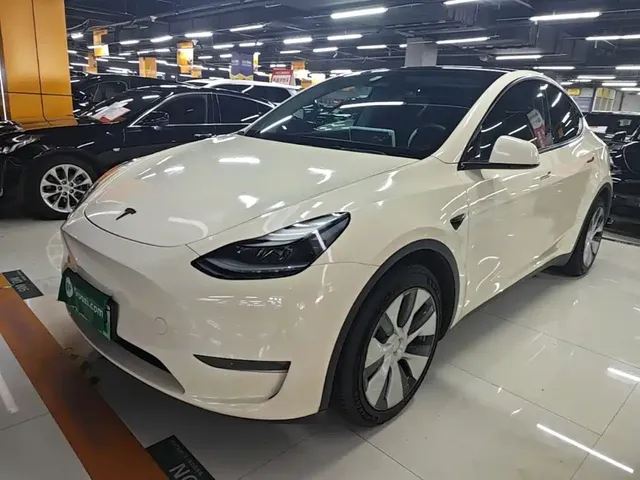 Tesla Model Y 2021 Model Long Range AWD