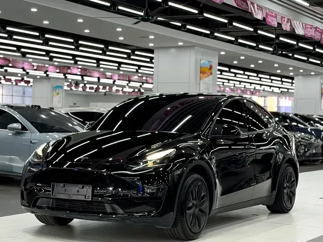Tesla Model Y 2024 Rear-Wheel Drive Version