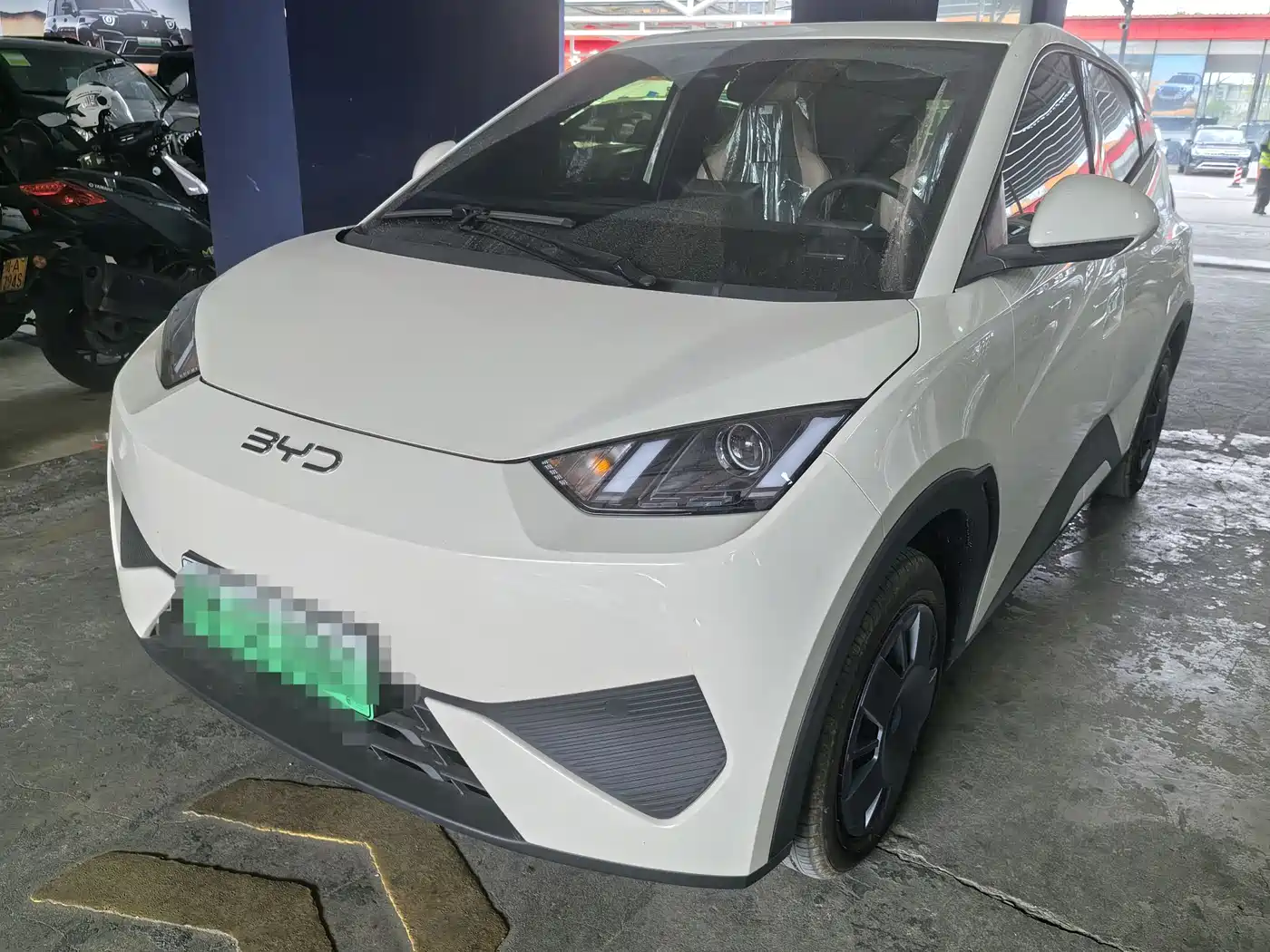 BYD Seagull, 2026