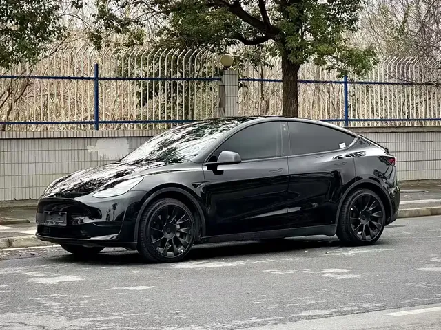 Tesla Model Y 2021 Standard Range Rear-Wheel Drive